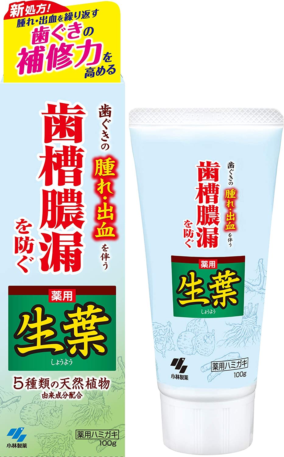 Зубная паста для лечения десен Kobayashi Raw Leaf, Medicated Toothpaste, Herb Mint Flavor, 100 гр