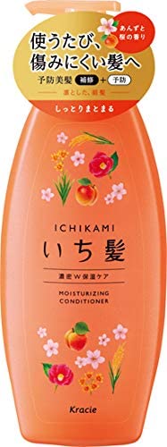 Увлажняющий кондиционер для волос Kracie Ichikami Hair Dense W Moisturizing Care Conditioner, 480 гр