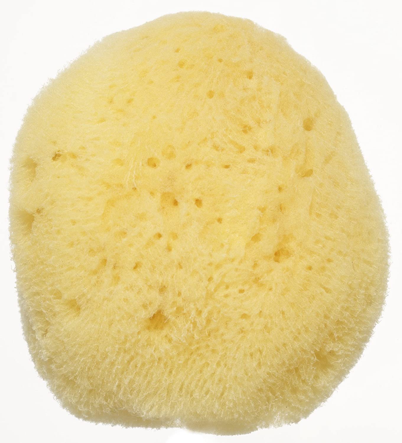 Натуральная морская губка для детской кожи Natural Sponge For Baby DHC